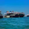 dubai-marina-vip-black-yacht-premium-economy-dhow-cruise-sightseeing-blue-water-palm-ain-dubai-jbr.webp Premium Economy Black Yacht Marina Deal in Dubai